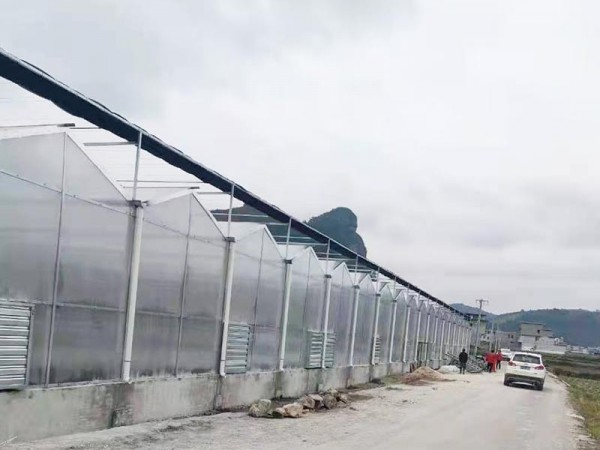 溫室大棚為什么要選用PC陽(yáng)光板做覆蓋材料？