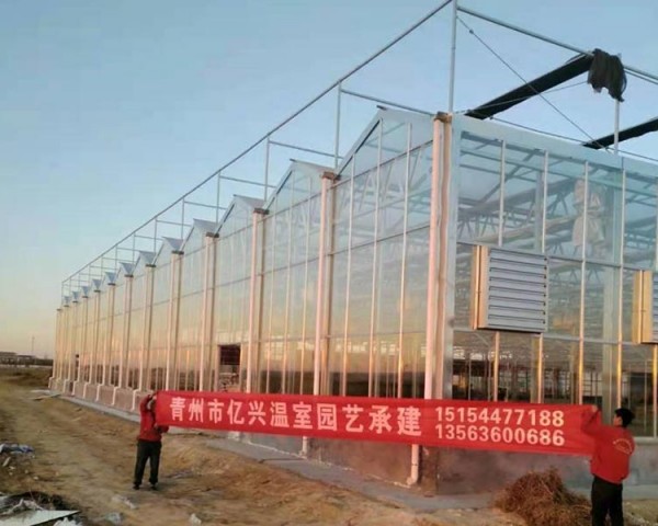 山東東營(yíng)溫室工程案例