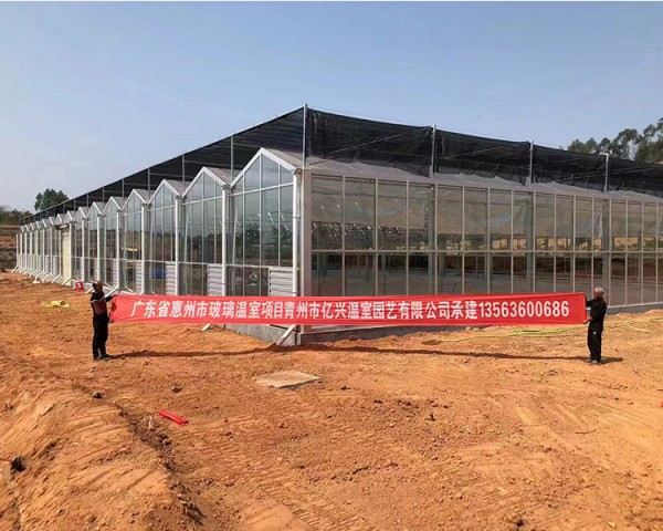 廣東省惠州市玻璃溫室項(xiàng)目