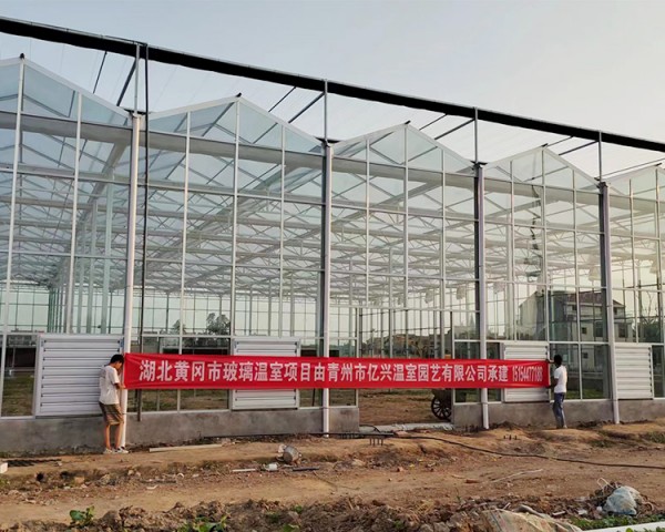湖北黃岡市玻璃溫室項(xiàng)目